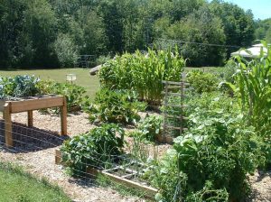 Community Gardens in Medford