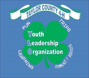 4-H Taylor County YLO logo